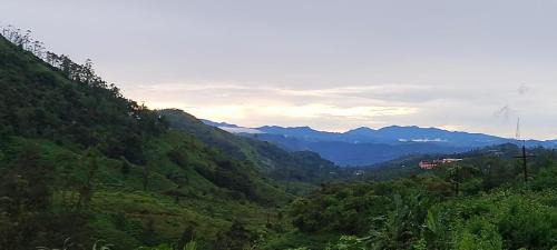 Peermade House | Misty cloud homestay