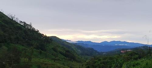 Peermade House | Misty cloud homestay