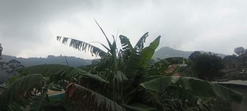 Nuwara Eliya Cabin | Misty Horizon Villa