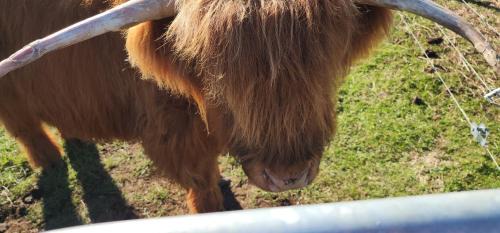 Otorohanga House | Misty Valley Hilltop Farmstay