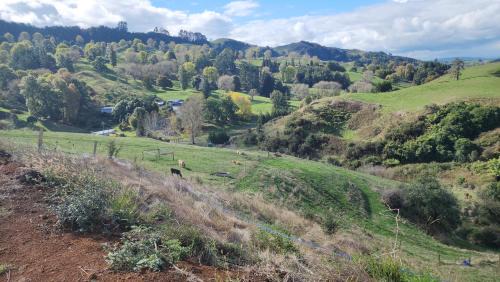 Otorohanga House | Misty Valley Hilltop Farmstay