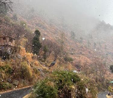 Banjar House | Mizuki Retreat and Cafe, Tirthan Valley