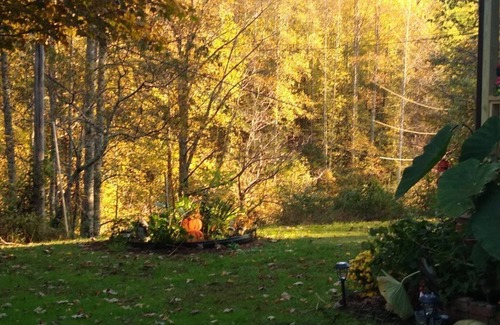 Sylva House | Mnt View Cottage. Calm, comfortable and clean