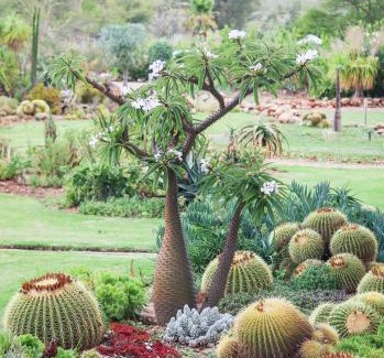 Langeberg House | Mo & Rose's Nature Retreat