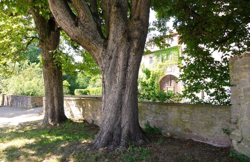 Unsleben House | Moated castle Unsleben, old brewery