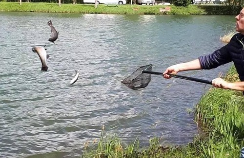 Martigny House | Mobil-Home Comfort Edge of Etang TV - 2 Schlafzimmer + Terrasse 4 Personen