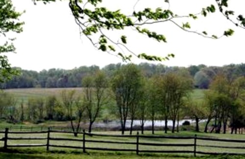 Darnestown House | Mobile home ∙ 1 bedroom ∙ 2 guests