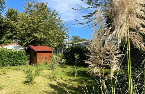 Angicourt House | Mobile home - 15m² - 1 bedroom without terrace 2 persons