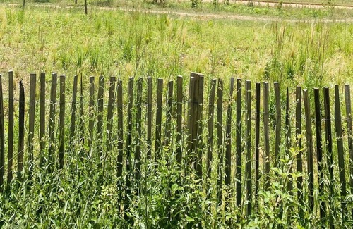 Montmeyan House | Mobile home 4/5P on the edge of the Gorges du Verdon, on the historic site of Quinson