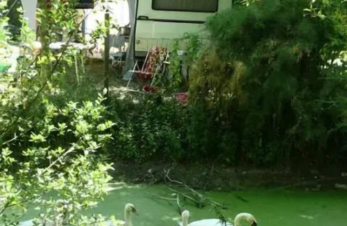 Chaille-les-Marais House | Mobile home BAHIA - 2 bedrooms 31 m² 4 people