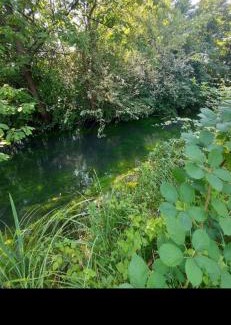 Boofzheim Other | Mobilhome du Ried