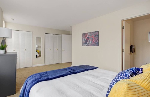 DeBaliviere Place Apartment | Mod Apartment next to Forest Park/BJC/WashU pets welcome