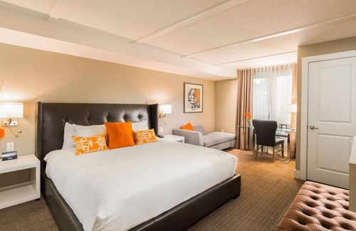 Collingwood Condo | Modern 1-bedroom condo minutes from Blue Mountain
