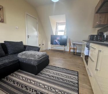 Wembley Central Apartment | Modern 1BR Flat near Wembley Stadium