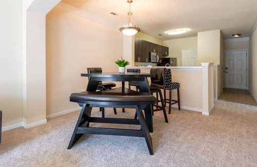 Raleigh Apartment | MODERN and SPACIOUS apt in the heart of Raleigh!!
