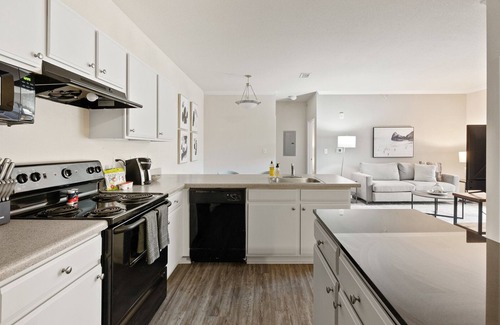 Mount Juliet Apartment | Modern Apartment in Prime Location (ID2693X56)