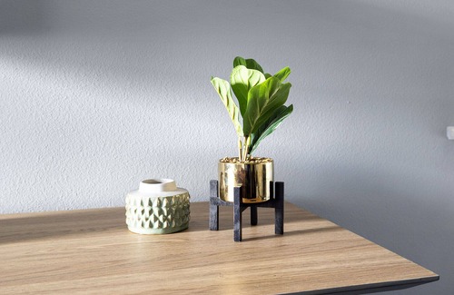 College Park Apartment | Modern Apartment in Prime Location (ID4332X66)