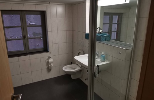 Mainz-Bingen Apartment | Modern apartment in the heart of Bacharach for 7 persons
