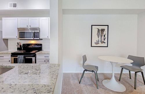 Fort Worth Apartment | Modern Apartment in Prime Location (ID5315)
