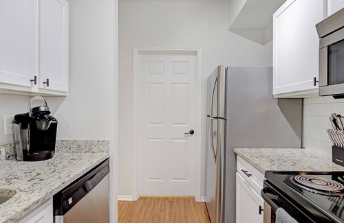 Fort Worth Apartment | Modern Apartment in Prime Location (ID5315)