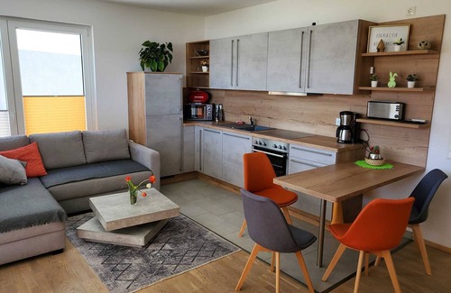 Plauen Apartment | Modern, barrier-free apartment with garden access and terrace