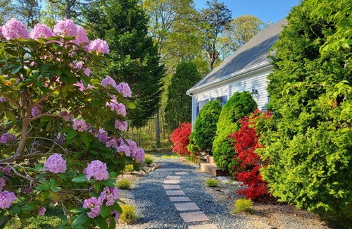 Brewster House | Modern Cape, Private Heated Salt Water Pool, Minutes to Beaches/Golf