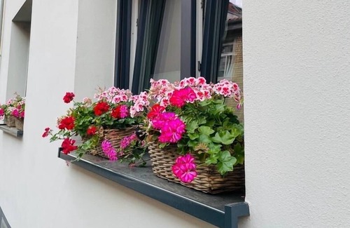 Mombach Apartment | Modern & central apartment - perfect for all private / professional trips