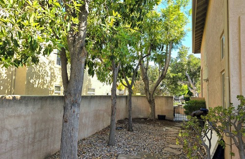 Kit Carson House | Modern & Comfort Paradise in Central Location withMountain Views & Fenced Yard