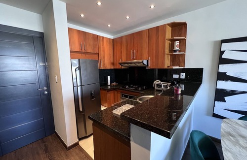 Downtown Santo Domingo Apartment | Modern Condo in Piantini 30 minutes to beach