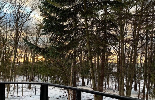Harbor Springs Cottage | Modern Cottage in the Woods by the beach.