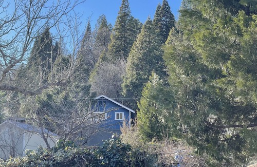 Dunsmuir House | Modern Cozy Mountain Home with VIEWS