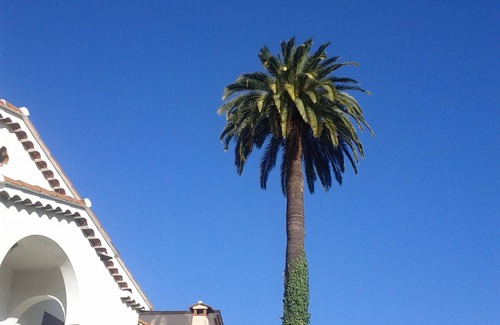 Cannes City Centre Apartment | Modern design apartment only 150 m away from Palais des Festival
