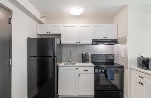 St. Petersburg - Clearwater Apartment | Modern downtown apartment, good for longer stays l Barsala
