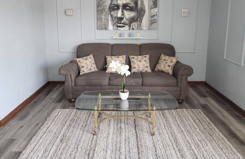 Springfield Apartment | Modern Downtown Apartment