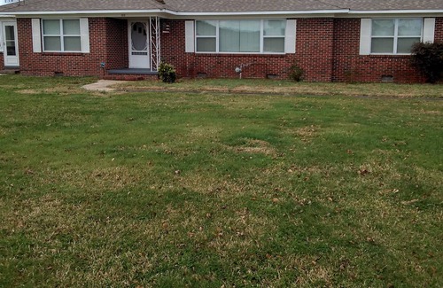 Horton Other | Modern Farmhouse- room to run around, enjoy the outdoors and Lake Guntersville !