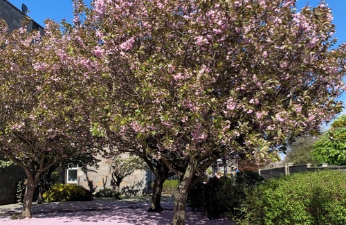 Central Aberdeen Apartment | Modern fully fitted two bedroom apartment. Pet friendly. Free parking. Sleeps 5.