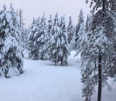 Truckee House | Modern Gambrel Cabin Near Ski Resorts