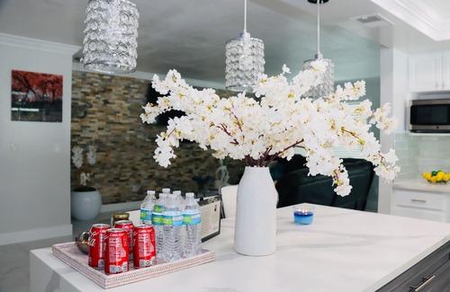 Lake Magdalene House | Modern Heater pool house tampa. Close to the park and zoo