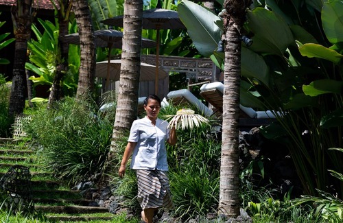 Babakan Cottage | Modern House in Canggu Resort
