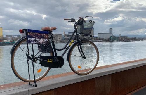 Huningue Apartment | Modern Living