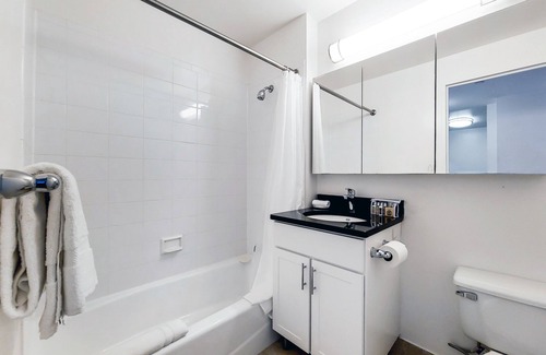 Brooklyn Heights Apartment | Modern One Bedroom in Charming Brooklyn Heights