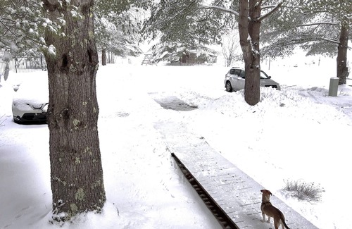 Warren Condo | Modern Open-Concept Retreat w/Luxe King Bed Minutes2Sugarbush & Fido Stays Free!