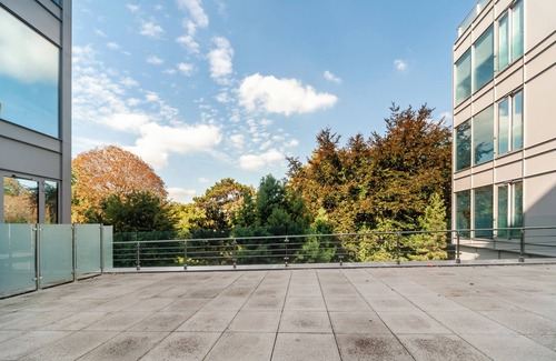 Syon Apartment | Modern Park-View Apartment | Near Kew Gardens, Chiswick & Brentford Stadium