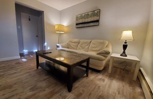 Algoma District Apartment | Modern Private 1BR Apt. w/Free Prkg + Fast Wi-Fi