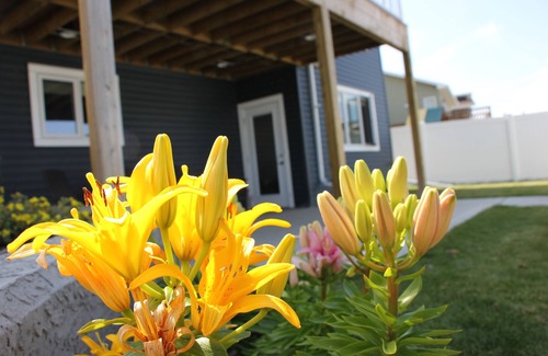 Red Deer House | Modern Suite in Beautiful Neighborhood