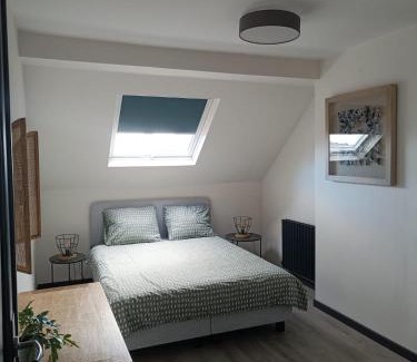 Laken Apartment | Modern Triplex 140m2 - 4 bedrooms, 1 living room & 2 bathrooms - 8 people in Brussels city