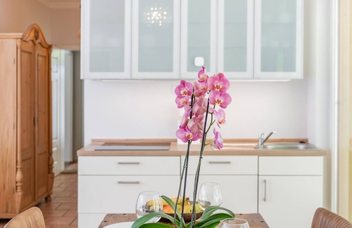 Bad Schandau Apartment | Modern vacation apartment 6 in Villa Emma for 4 people