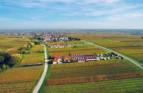Edesheim Apartment | Modern vacation apartment I on the estate, in the middle of the vineyards