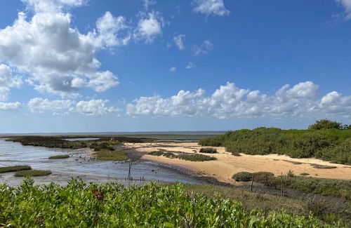 Le Teich Villa | Modern villa in the heart of the Arcachon Bassin