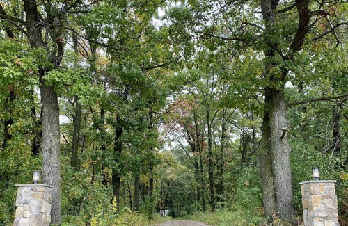 Little Falls Apartment | MODERN WILLOW STUDIO. Spacious, cozy, wooded, 4 minutes from Little Falls.